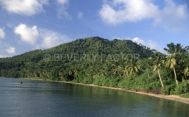 Islands;Clouds;Blue sky;palm trees;blue water;fiji